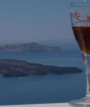 WineTour